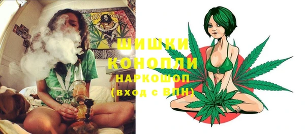 PSILOCYBIN Волосово