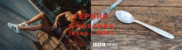 PSILOCYBIN Волосово